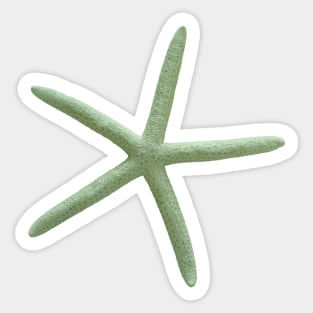 Starfish, Seafoam Green Sticker